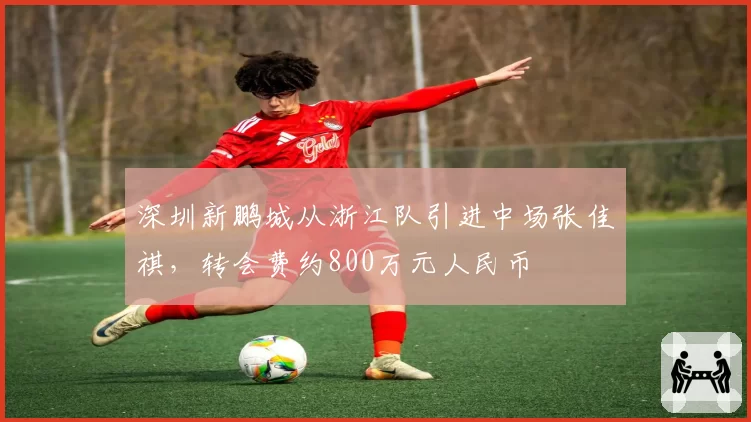 深圳新鹏城从浙江队引进中场张佳祺，转会费约800万元人民币