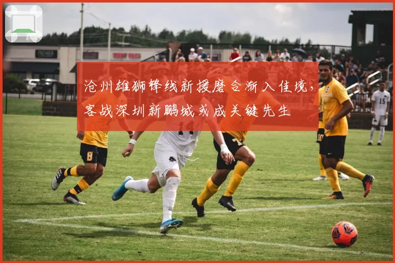 沧州雄狮锋线新援磨合渐入佳境，客战深圳新鹏城或成关键先生
