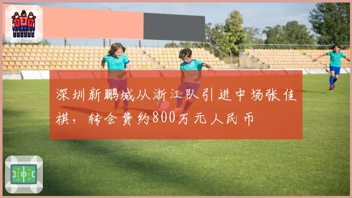 深圳新鹏城从浙江队引进中场张佳祺，转会费约800万元人民币