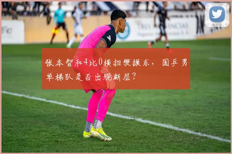 张本智和4比0横扫樊振东，国乒男单梯队是否出现断层？